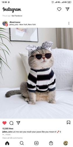 Lupa padahal lagi hamil.