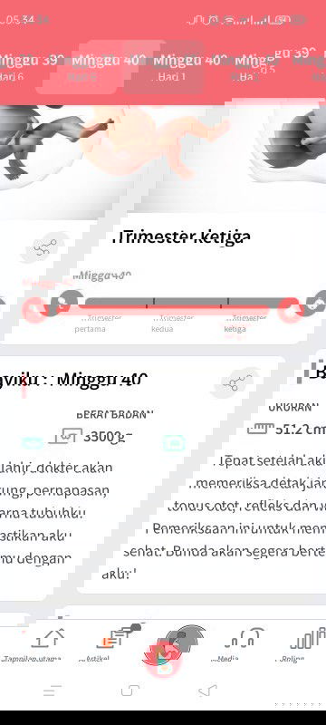 Belum juga kontraksi asli