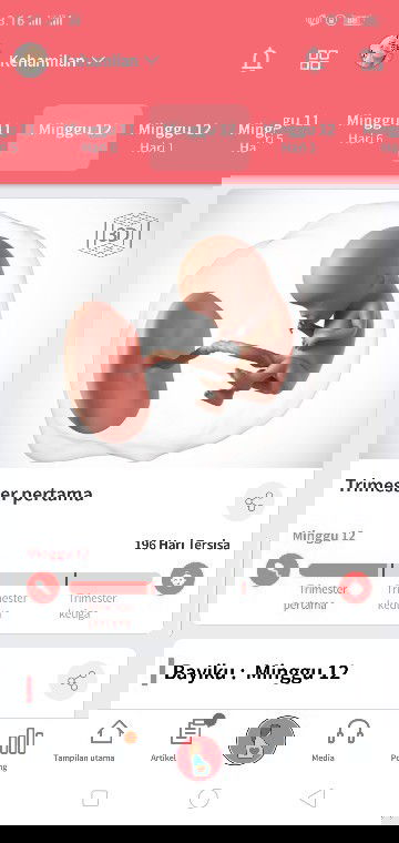 pagi bunda... kehamilan 12W dan merasakan nyeri di bagian vagina. ada yg merasakan hal yg sama gak?