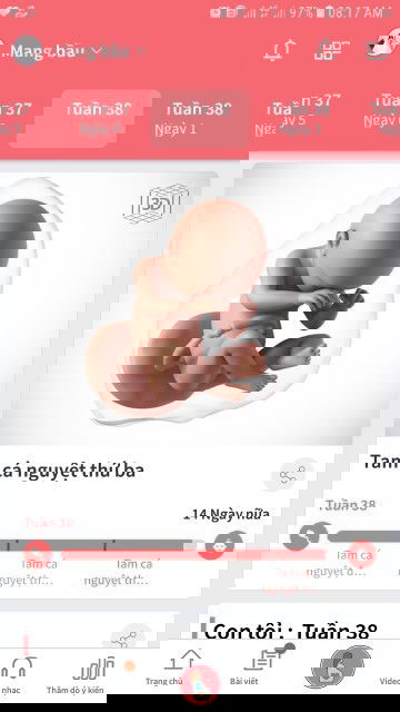 Mấy mom mát miệng chúc em sớm gặp con đi ,em nôn gặp con lắm rồi. ❤