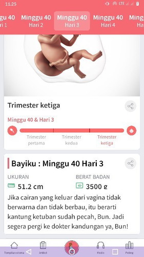 Baru pembukaan 1