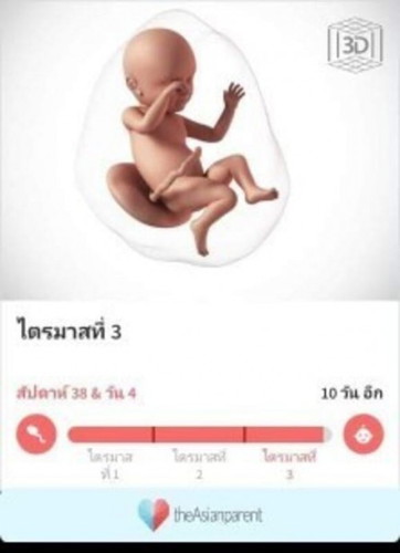 กำหนดคลอด25มกรา ยังเงียบอยู่เลย