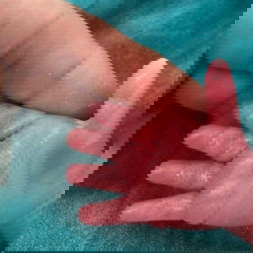 Terimakasih telah kuat bersama Bunda