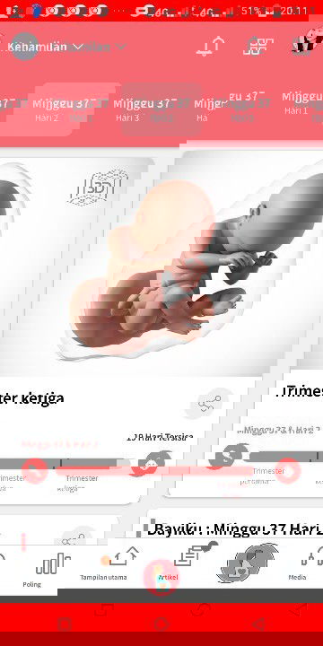 menunggu hpl 3 febuari