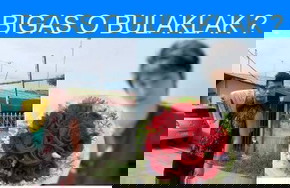 Valentine's Day na...