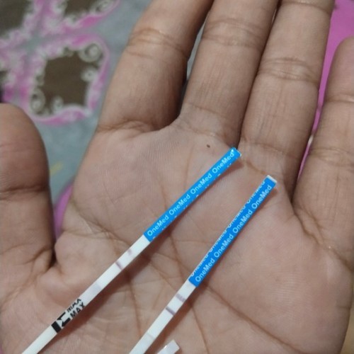 Kantonh janin belum terlihat