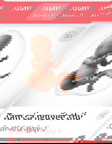 40w1d mà chưa có dấu hiệu gì hết. Mấy mom mát miệng chúc mình chuyển dạ đi ạ. Mong con ra chơi