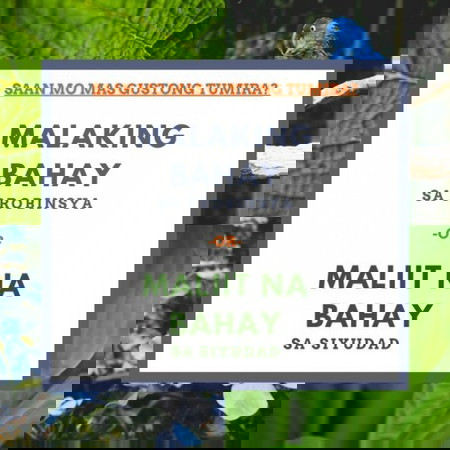 Saan mo mas gustong manirahan?