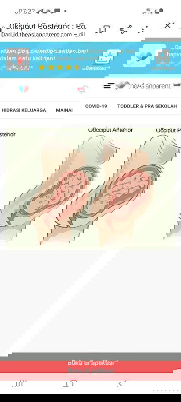 mau tnya dnk apa iya posisi bayi terlentang (posterior)usia 40minggu gak bsa melahirkan scra normal?