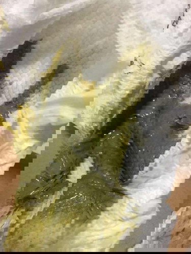 ลองให้ลูกกินนมแล็คโตเย่นน้องอึเป็นแบบนี้ปกติมั้ยคะ