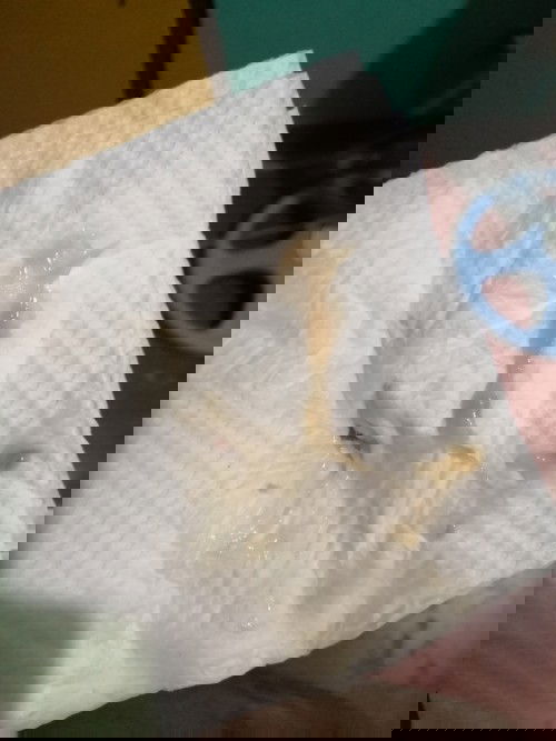 Help, Mommiessss!!! 🙏🏻