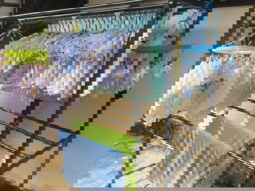 เตรียมคลอด ก.พ. 64