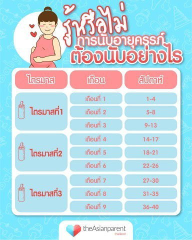 วิธีนับอายุครรภ์