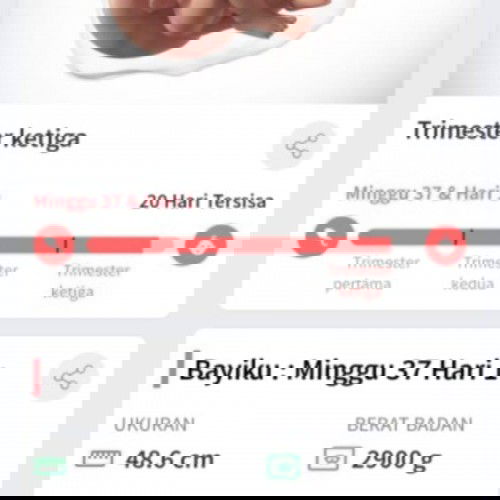 Kontraksi hilang muncul