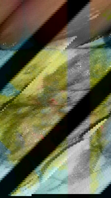 Baby bab cair ada darahnya dikit