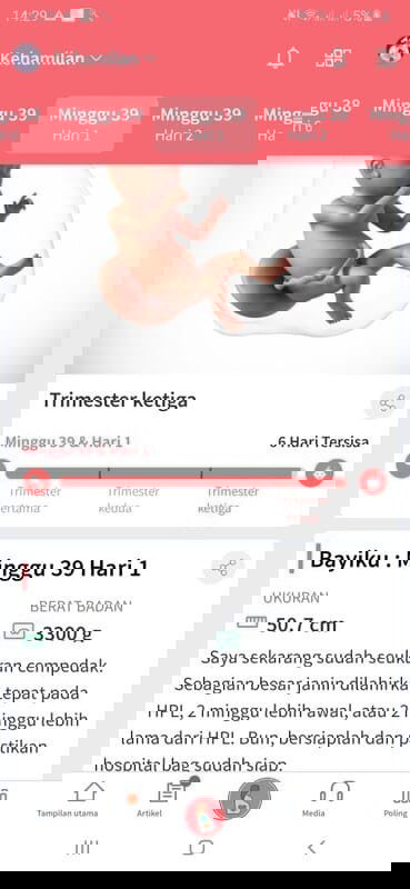 Belum kontraksi sama sekali