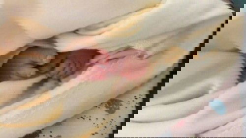 Frekuensi bak nb vs baby selalu lapar