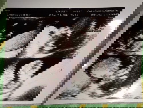 ใครพอทราบบ้างคะ??