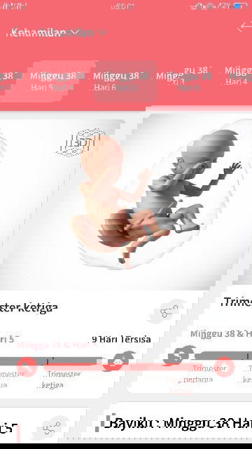 Menjelang persalinan