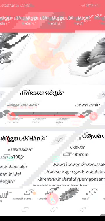 bun ada yang smaa gakkk , udah ngerasain apa saja bun utunku masi anteng2 aja nih