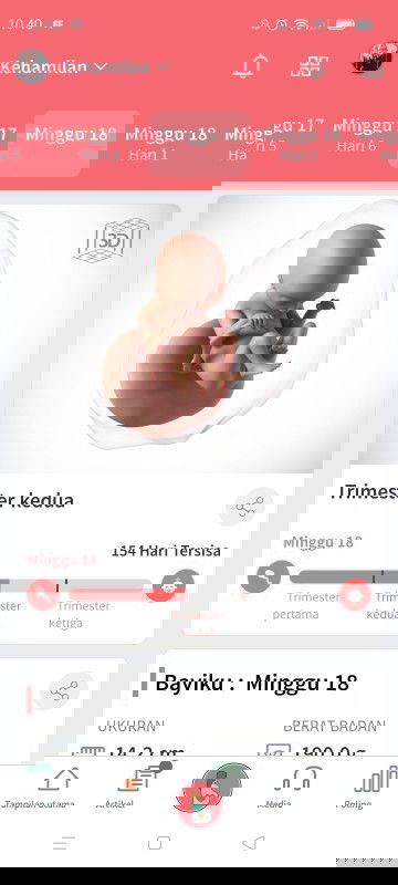 18 Minggu ditanggal 18