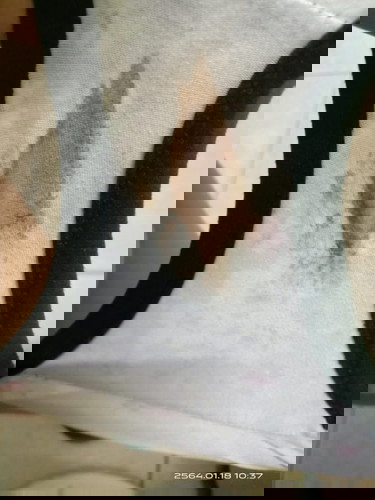 มีสีแบบนี้ติดกางเกงใน