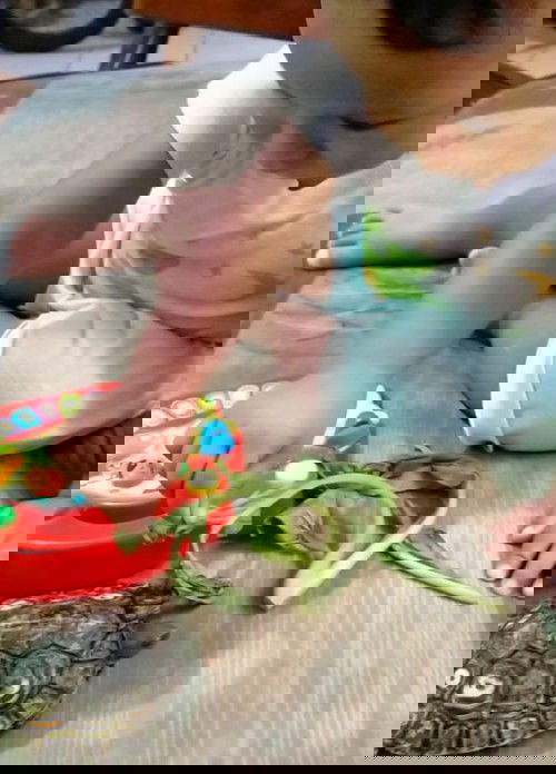 Waktu Berjalan Dengan Cepat