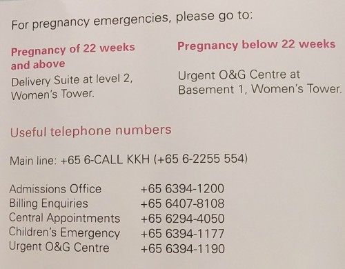 In Case You Need This.