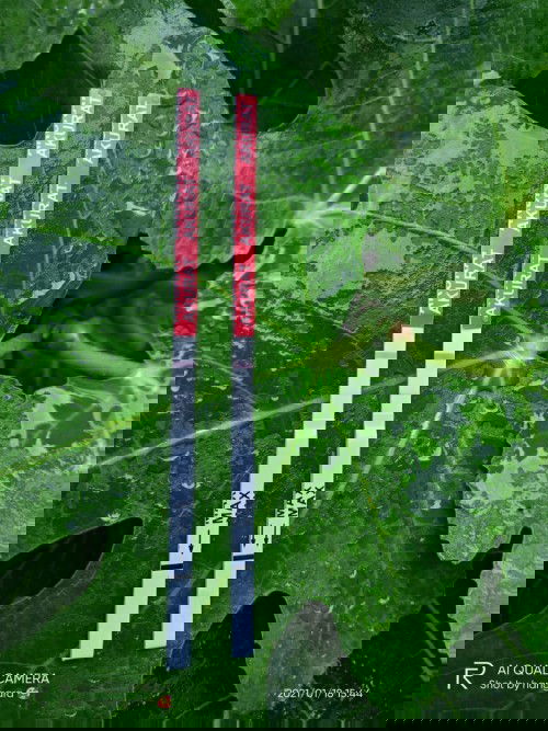 Semangat pejuang garis 2