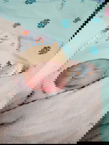 กำหนด14กุมภา แต่น้ำเดิน17มกรา เปิด10เซ็น แต่ไม่ยอมออก หนูผ่าครับ