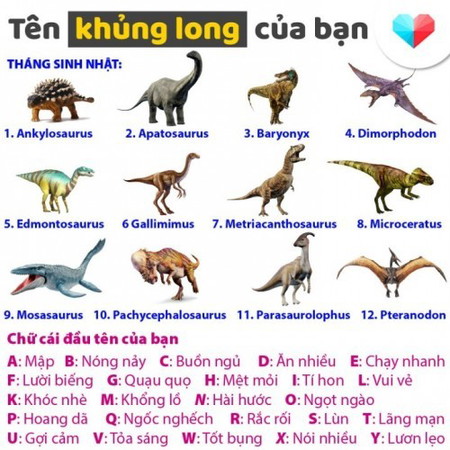 Tên khủng long của bạn là gì