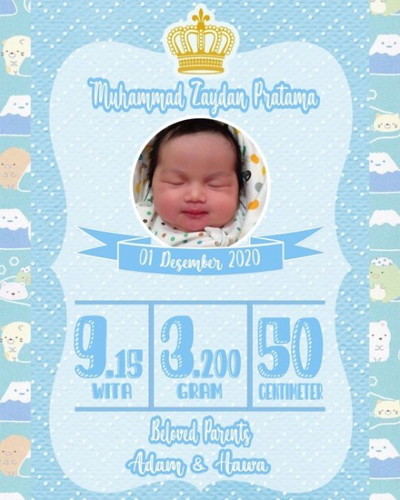Biodata Bayi