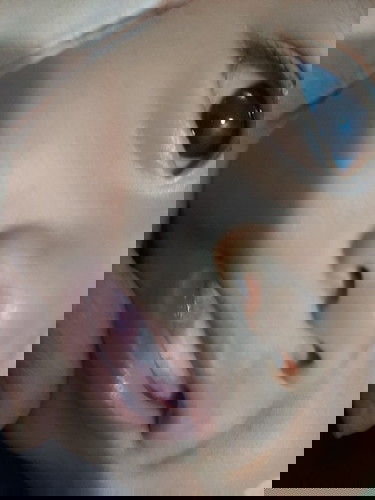 Mau tumgi kah ? Usia 5m, rewel tapi gamau nen. Geregetan masukin tangan terus .