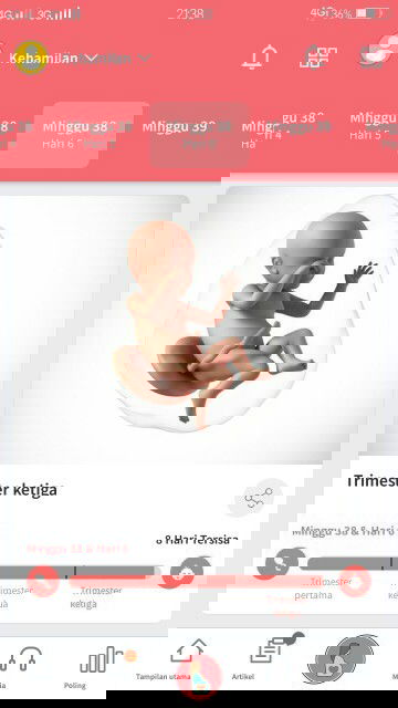 Uk 38w6d dan Kontraksi Palsu