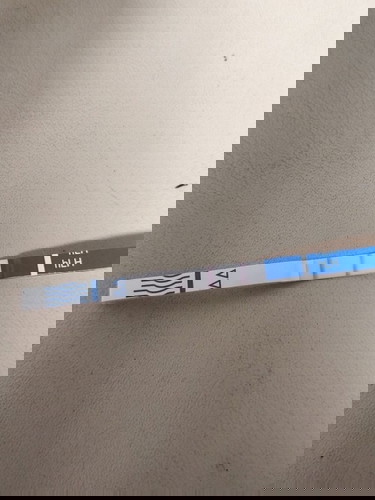 แบบนี้ไข่ตกแล้วหรือยังคะ?