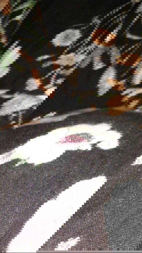 Ada nggak yah yang hpl bulan april seperti aku bun,