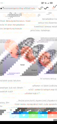 Placenta di pintu keluar