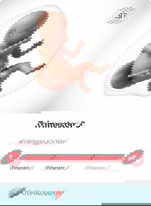 Bun ... minta tolong doain aku yaa .. semoga aku cepet lahiran ... 🥺 aamiin .. 🙏🏻