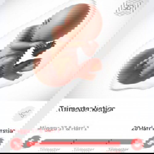 Menanti gelombng cinta