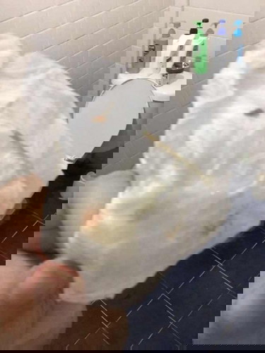 มีมูกใสปนเลือด