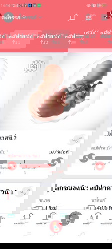 17+1  29/06/64  ทีมมิถุนายน