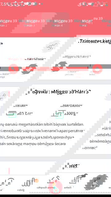Hpl sebetar lagi tapi dede belum lahir