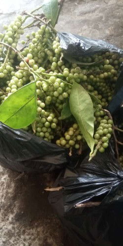 Apakah berhubungan saat hamil muda itu di boleh atau tidak?