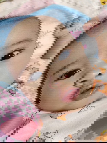 พิงค์พิงค์