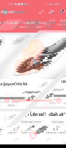 Chờ lắm 1 cơn đau đẻ