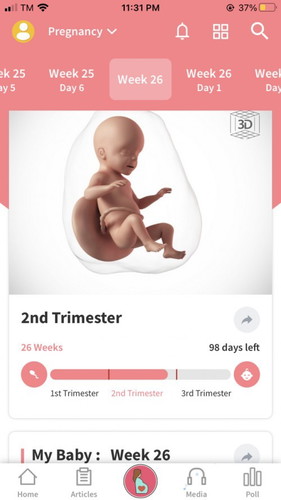 6Months 2nd Trimester