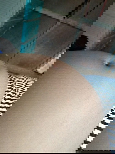 6 months pregnant n po ako , then yung tiyan ko po ganyan pa lang po siya kalaki, is it normal po ?