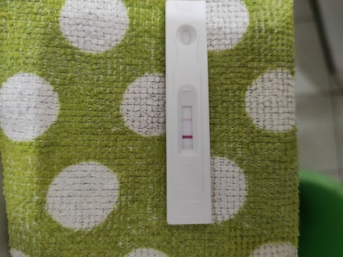 Pregnancy Test Result