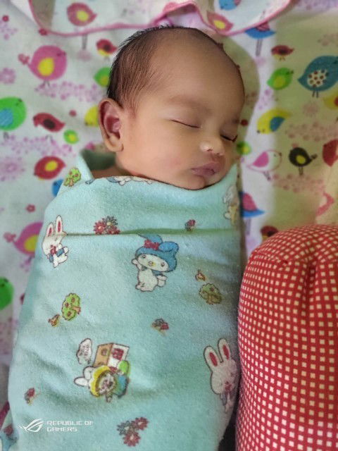 Hpl 28 jan lahir 18 jan