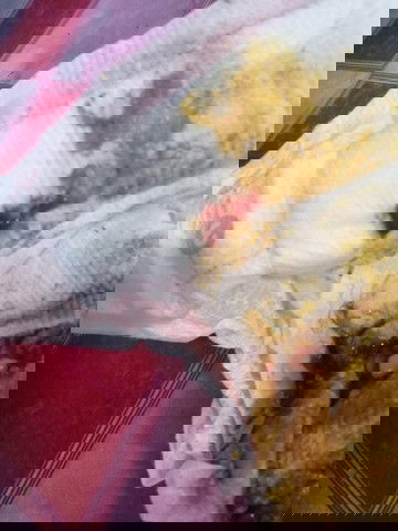 Blood and mucus in my lo stool